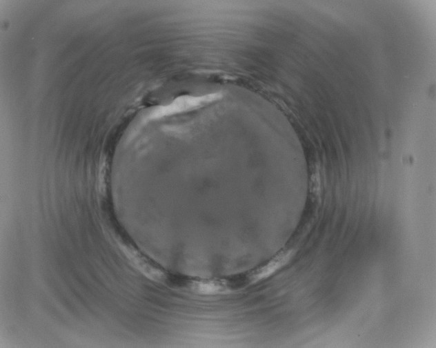 X0000081490662200701262055