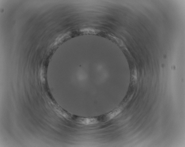 X0000081490663200701262055