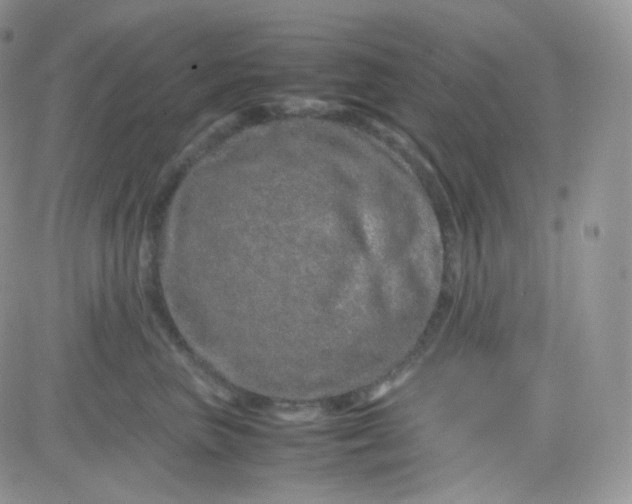 X0000081490667200701262055