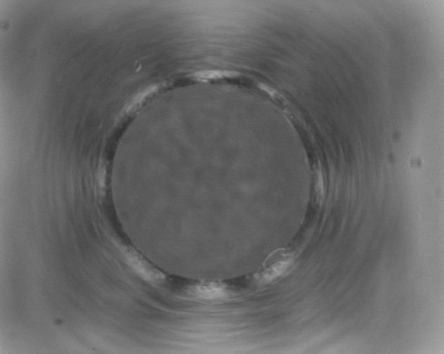 X0000081490668200701262055