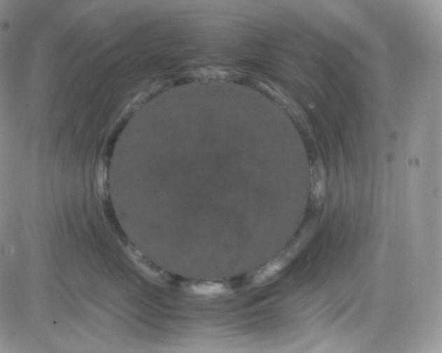 X0000081490669200701262055