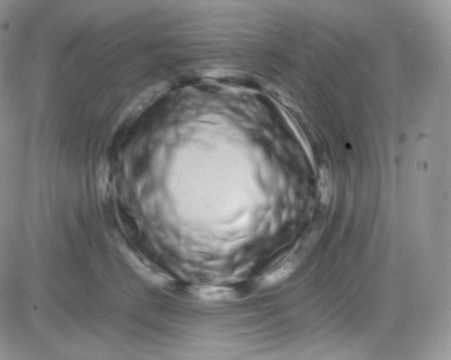 X0000081490670200701262055