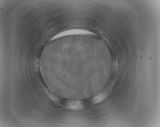 X0000081490671200701262055