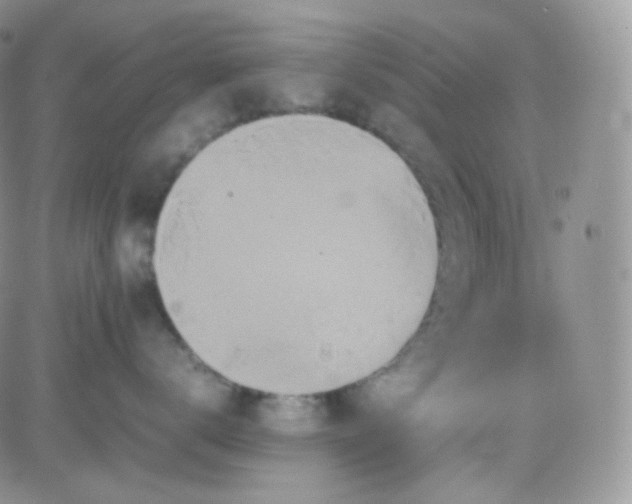 X0000081490672200701262055