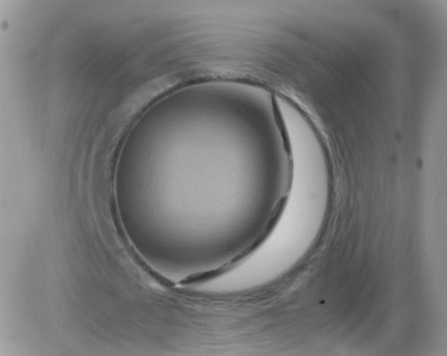 X0000081490673200701262054