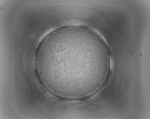 X0000081490675200701262054