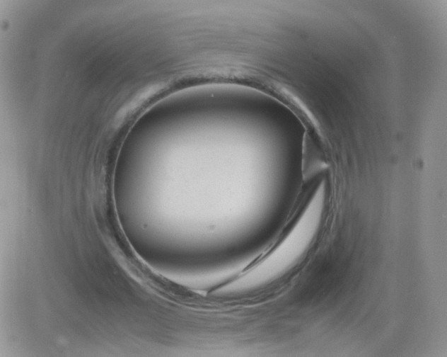 X0000081490677200701262054