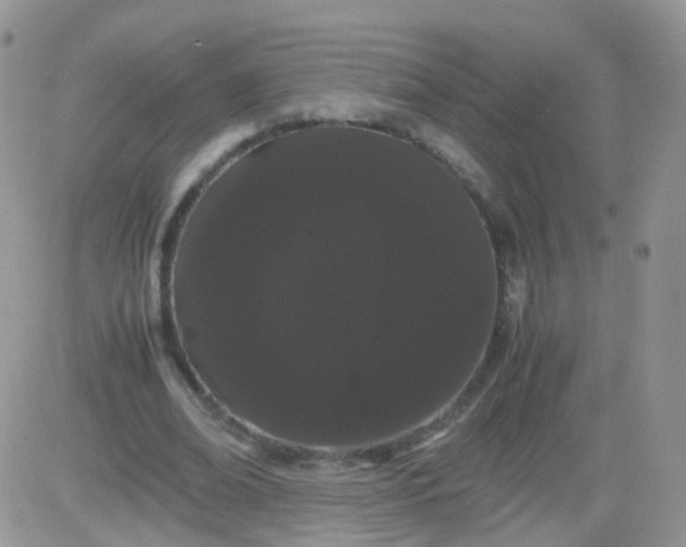 X0000081490678200701262054