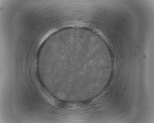 X0000081490679200701262054