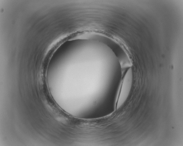 X0000081490680200701262054