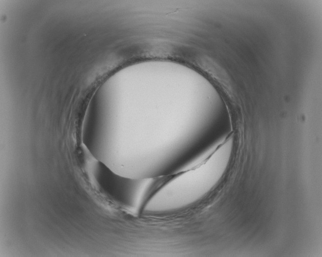 X0000081490681200701262054