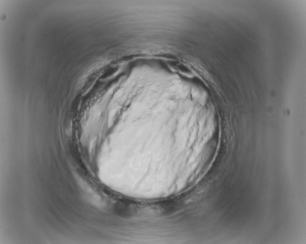 X0000081490683200701262054