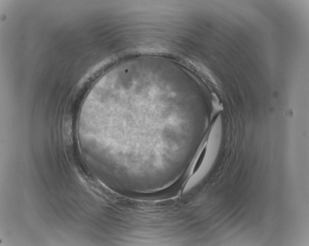 X0000081490684200701262054