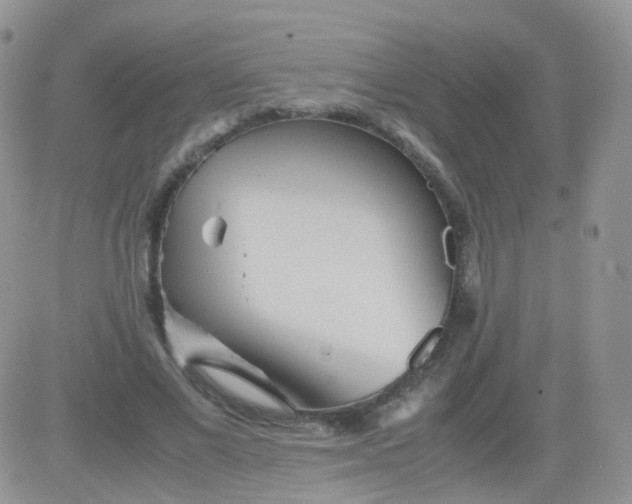 X0000081490685200701262054