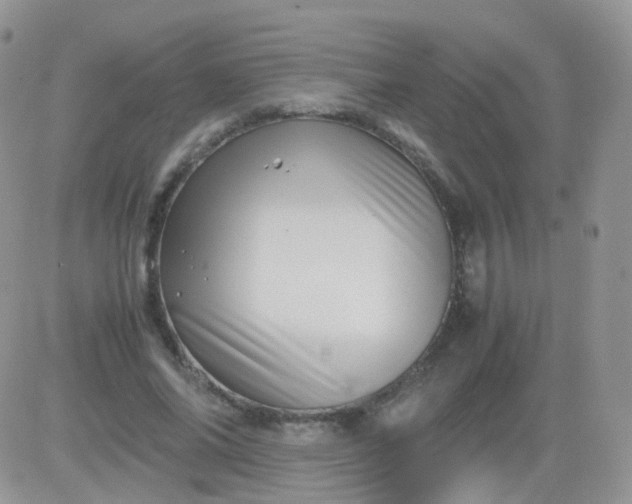 X0000081490686200701262054