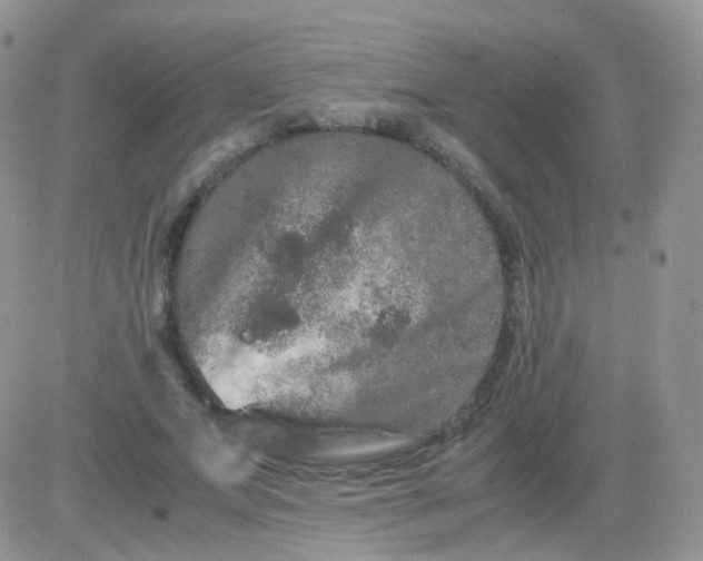 X0000081490687200701262054