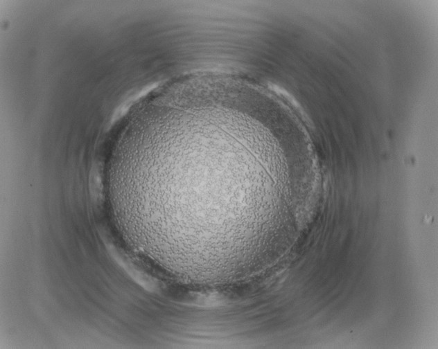 X0000081490688200701262054