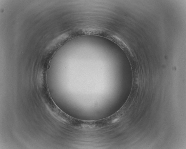 X0000081490690200701262054