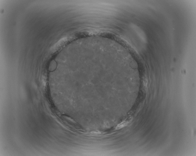 X0000081490691200701262054