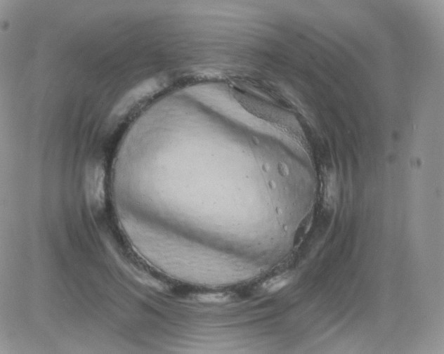 X0000081490692200701262054