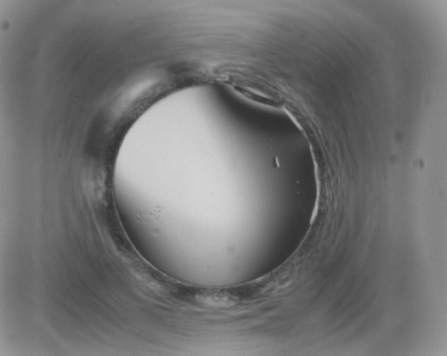 X0000081490693200701262054