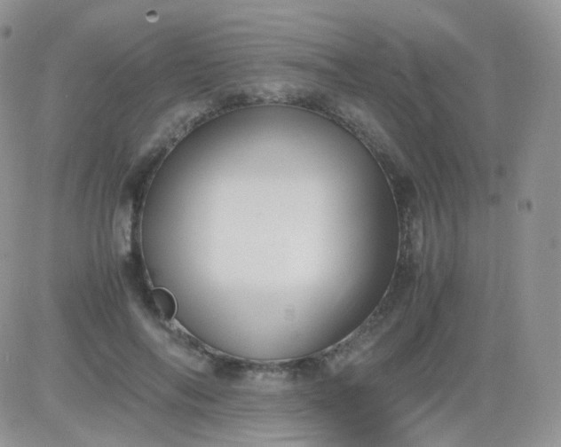 X0000081490694200701262054