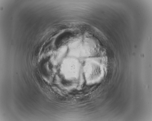 X0000081490695200701262054