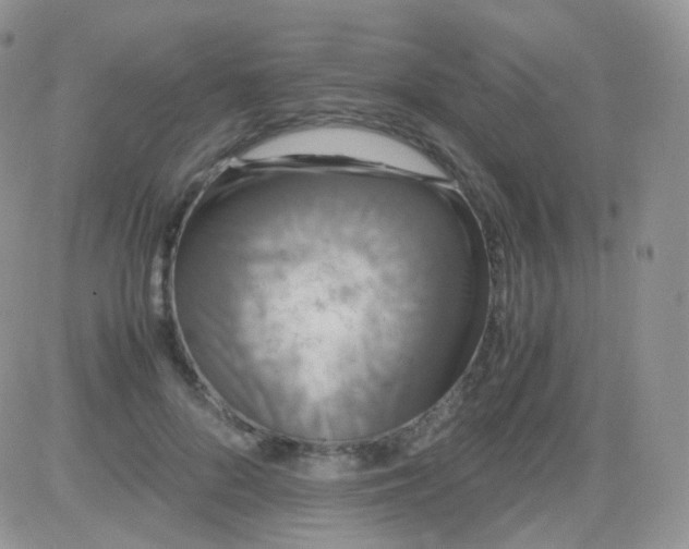 X0000081490696200701262054