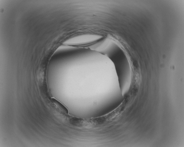 X0000081490697200701262054