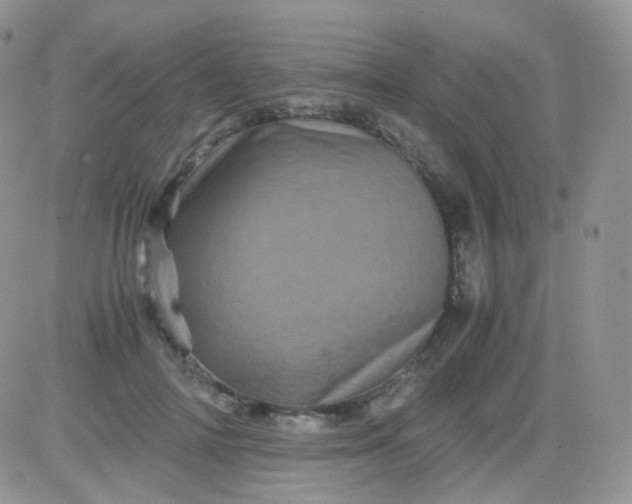 X0000081490698200701262054