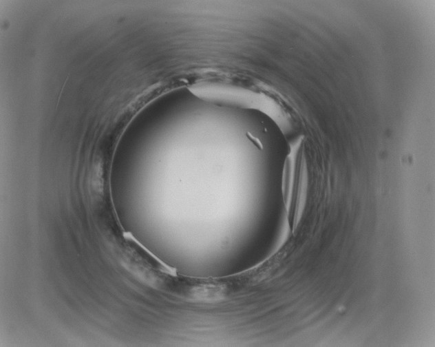 X0000081490700200701262054