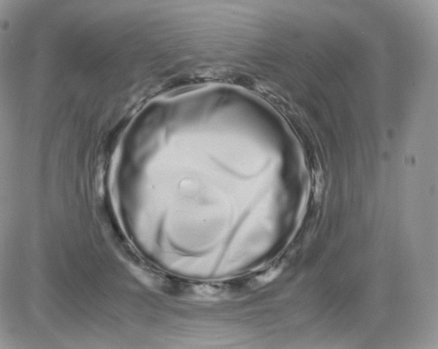 X0000081490703200701262054