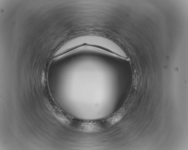 X0000081490704200701262054