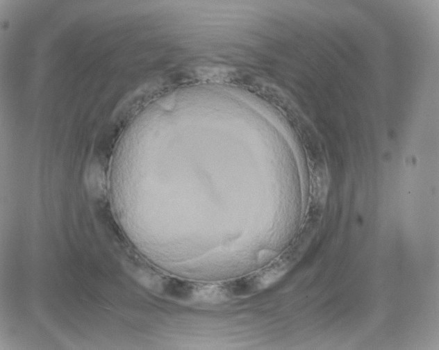 X0000081490705200701262054