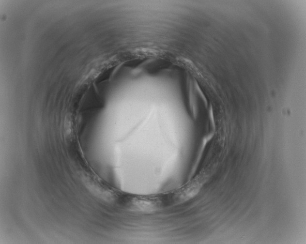 X0000081490706200701262054