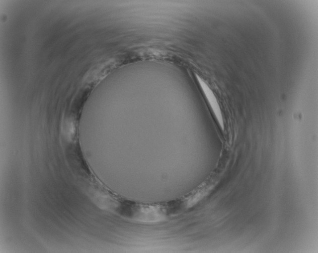 X0000081490709200701262054