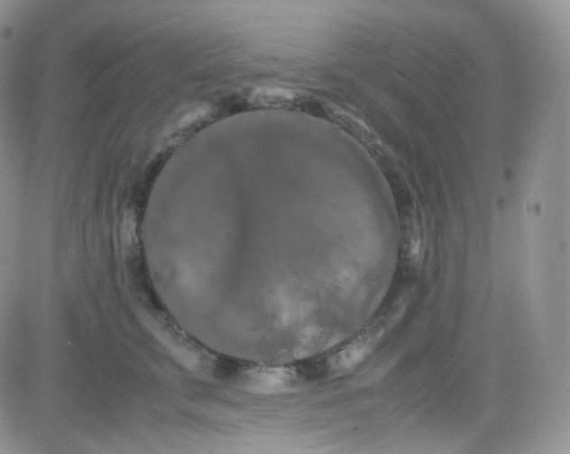 X0000081490711200701262054