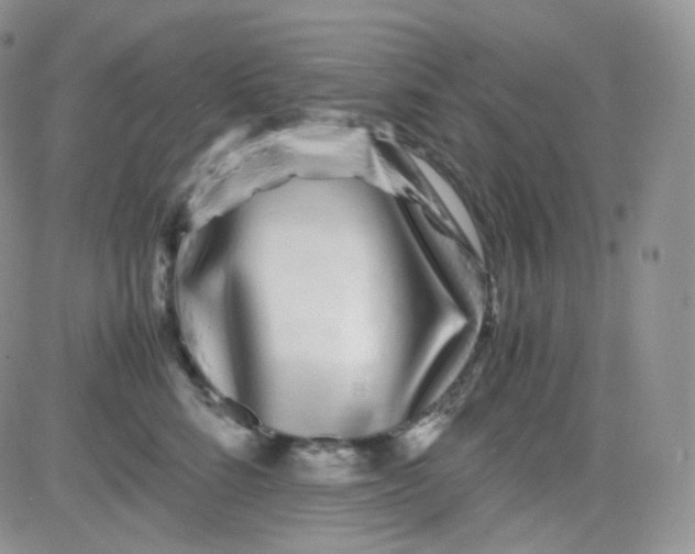 X0000081490712200701262054