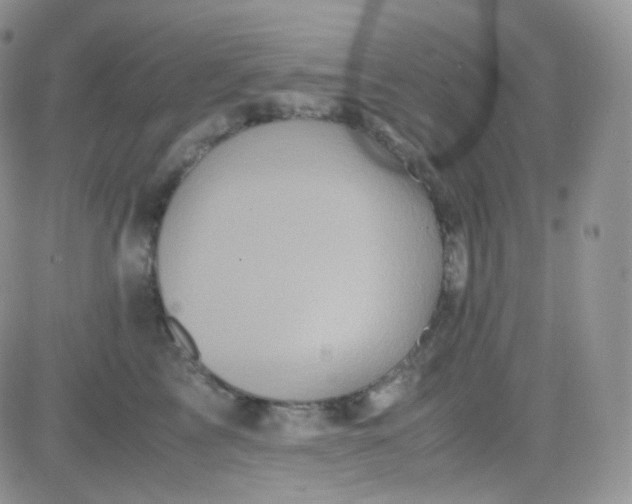 X0000081490713200701262054