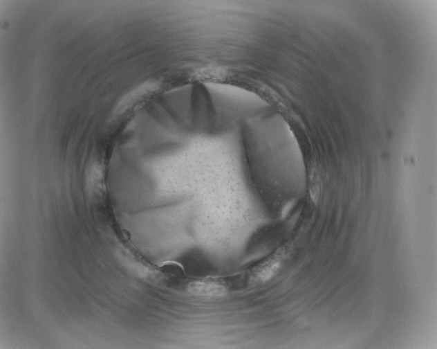 X0000081490714200701262054