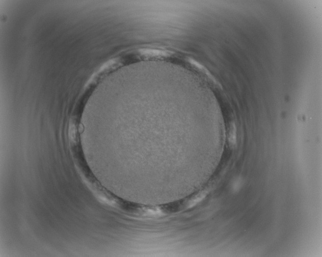 X0000081490715200701262054