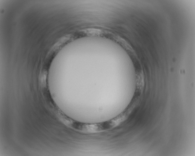 X0000081490717200701262054