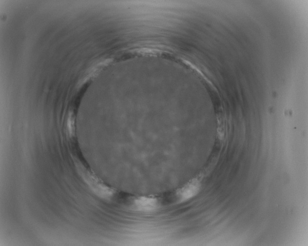 X0000081490718200701262054