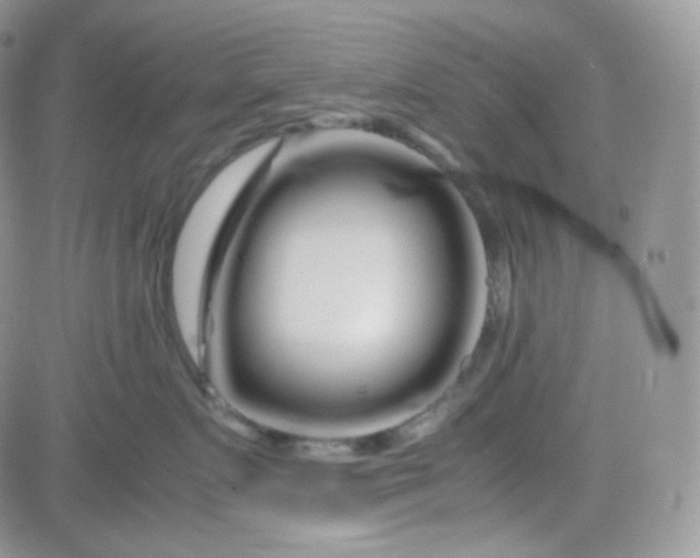 X0000081490719200701262054