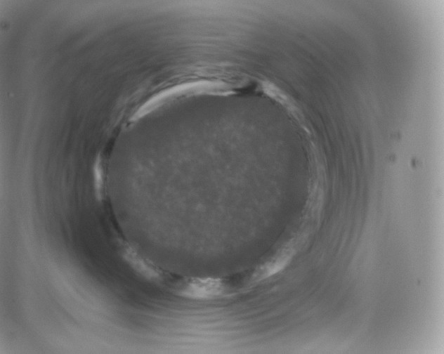 X0000081490720200701262054