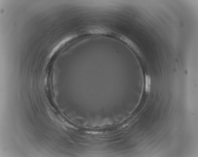 X0000081490723200701262053