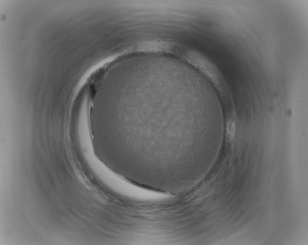 X0000081490724200701262053