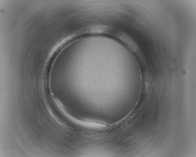 X0000081490728200701262053