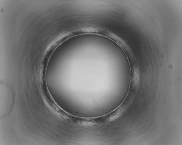 X0000081490730200701262053