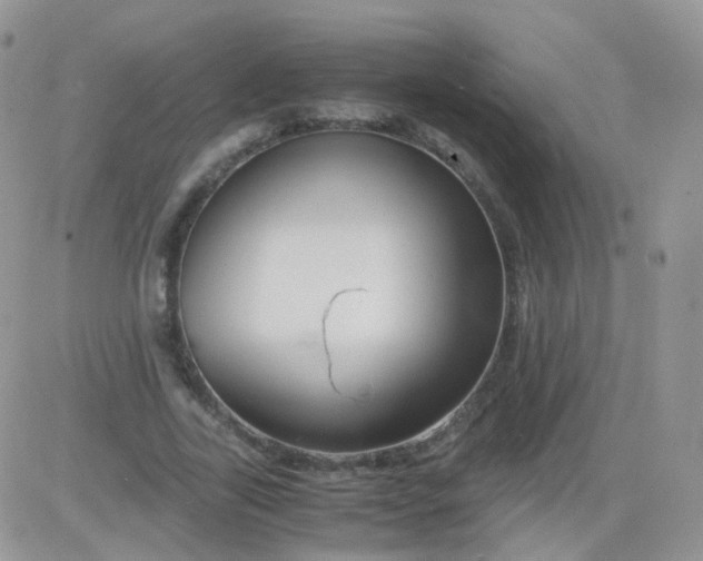 X0000081490731200701262053